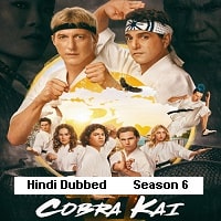 Cobra Kai (2024) Hindi Dubbed Season 6 Complete Watch Online HD Print Free Download